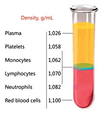 პლაზმოლიფტინგი